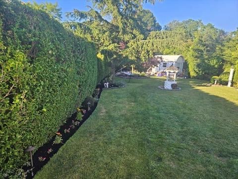 Yard