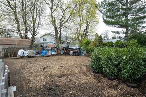 Yard