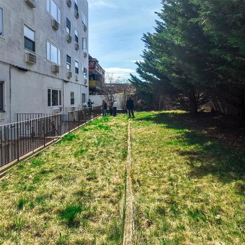 Yard