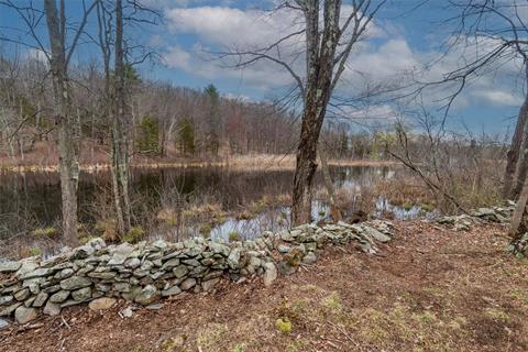 Pond