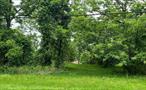 Lovely 2.81 acre property located on a country road in Greenport, Columbia County. Build your dream home, be close to Hudson and all that this area has to offer! The land does not have a Board of Health approval (the listing price reflects this), it will be up to the buyer to obtain. Wonderful property with great potential!