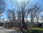 Fabulous FLAT corner lot now available just 2 short blocks south of Montauk Highway in Mastic. Property is ready to go and buildable with all appropriate permits that can be obtained from the Town of Brookhaven. Sewer, gas, water & electricity all available in street.