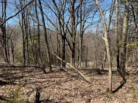 Property Picture