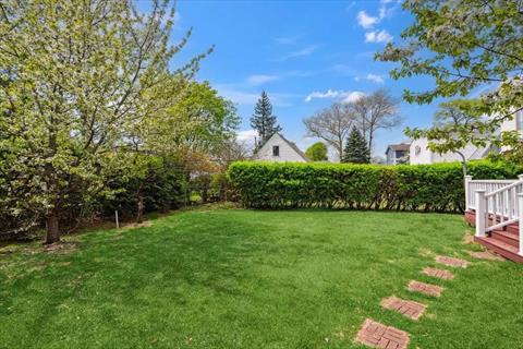 Yard