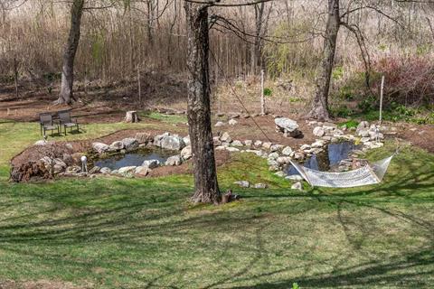 Pond
