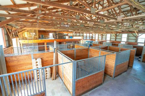 Stable