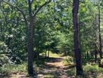 Beautiful large lot can accommodate sizeable house, pool & tennis. Located minutes from Sag Harbor & East Hampton villages.