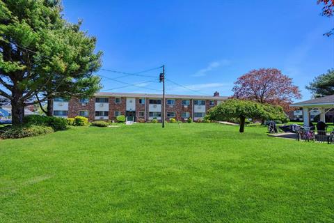 Yard