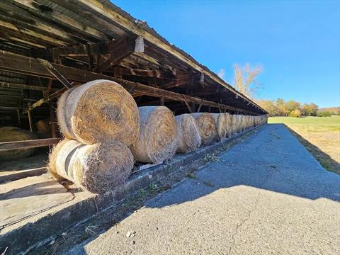 Barn
