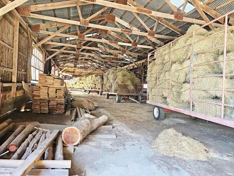 Barn
