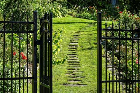 Yard