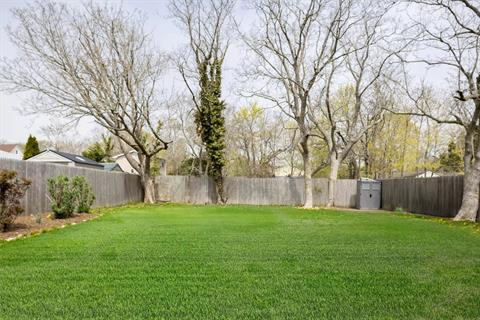 Yard