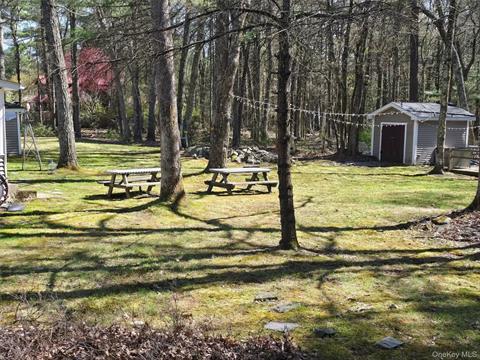 Yard