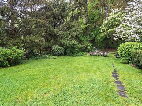 Yard