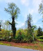 Imagine building your dream retreat where the gentle breeze from the Peconic Bay fills the air and endless days of sun, sand, and serenity await. This 0.43-acre parcel in coveted Nassau Farms section of Cutchogue offers deeded access to two peaceful right-of-ways leading to the creek and nearby waterfrontâ€”perfect for launching a kayak, paddleboard, or simply soaking in natureâ€™s beauty. Spend afternoons exploring pristine beaches, setting sail from the nearby marina, or unwinding with a glass of local wine in hand. Surrounded by lush vineyards, charming wineries, craft breweries, and farm stands brimming with fresh produce, every day here feels like a celebration of the North Forkâ€™s rich coastal lifestyle. Whether you envision a year-round sanctuary or a seasonal escape, 675 Pine Tree Road is your invitation to live beautifully by the sea.