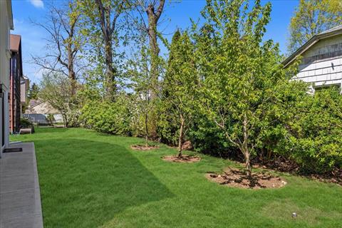 Yard