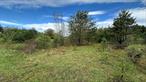 6 Acres of Natural Beauty â€“ Escape to the country with this serene 6-acre parcel located on a quiet road in the Town of Liberty. The front of the property is mostly level, offering easy access and potential for building, while the back gently slopesâ€”perfect for creating trails, gardens, or simply enjoying natureâ€™s tranquility. Surrounded by lush greenery and wildflowers, this property offers a beautiful mix of open space and wooded backdrop. Whether youâ€™re dreaming of a weekend retreat, future homestead, or investment in land, this property is it! Donâ€™t miss your chance to own a piece of Sullivan Countyâ€™s natural charm. Close to NYS Route 17/I-86, shopping, dining, recreation, medical and more.