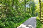2 lots sold together totaling just under 10 acres. Raw Land in Carmel Hamlet Putnam County, NY. Opportunity to own a unique piece of serenity with 2 Adjacent 5-acres lot, surrounded by beautiful mountains and rivers, where the summit presents a flat area poised for contraction. Imagine your future home perched atop offering panoramic view of the lush forest canopy below dominated by majestic Elm and Birch Tree. Build your own home and more. Escape on forever home. Don&rsquo;t miss the opportunity to own this piece of Hudson Valley Charm on Carmel Hamlet. Buyer needs to obtain BA, utilities, Is adjacent , 4.170 acres tax ID # 2200-042-000-0002-034-003, APN: 372200-042-000-0002-034-003-0000, $2153 per year  Sold together.