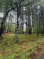 Almost 11 acres of riverfront land on a desirable dead end road that winds along the Delaware featuring mini private estates. Build your dream home and 100+â€™ of River frontage.