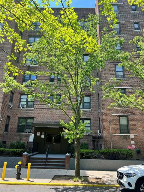 Front of Structure