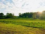 A coveted location near the CT border. This open and rolling 6.34 acres offers bright skies by day and clear dark skies at night that are ideal for stargazing. The firefly spectacle is about to commence at the end of June. This wildlife habitat welcomes your new home that will enjoy the benefits of a brief driveway, nearby utilities, (cost saving) stunning vistas, some wetlands and meadow that share the wildflowers and nature&rsquo;s bounty. Native plants have been preserved and restored. The bird watching is riveting.This parcel is BOHA for a 4-bedroom home with no fill required.Westerly Ridge is located minutes from the Wassaic Train Station, Sharon, CT and the Village of Millerton.The region is blessed with the Harlem Valley Rail Trail, Farm Markets, Farm Stands and a pleasant variety of cultural and recreational activities.