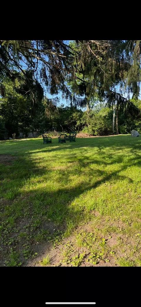 Yard