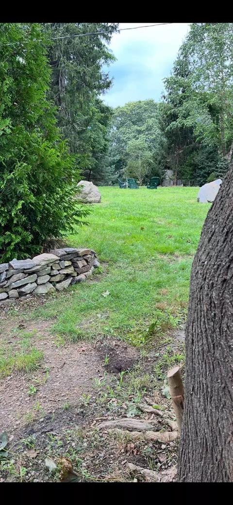 Yard