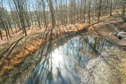 Pond