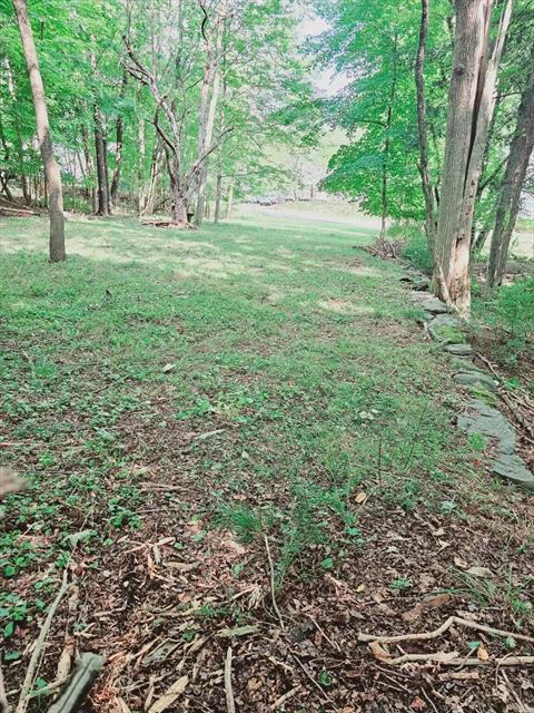 Yard