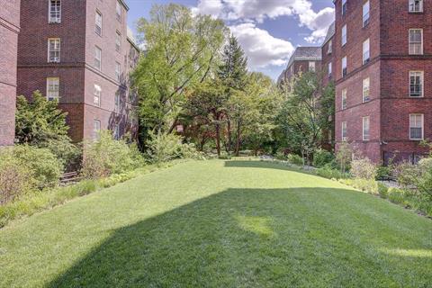 Yard
