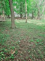 Empty lot