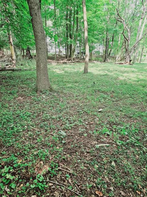 Property Picture