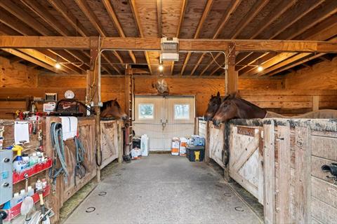 Stable