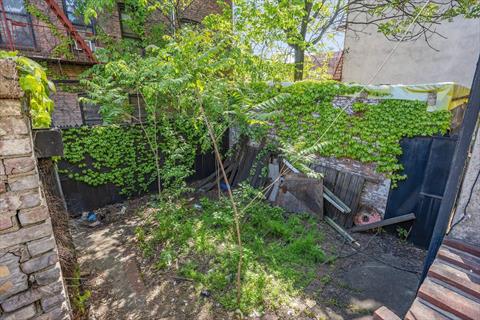 Yard