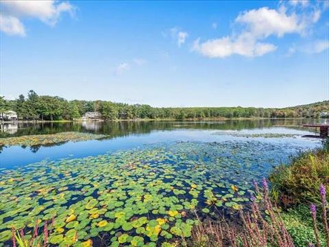 Lake