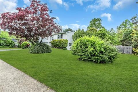 Yard