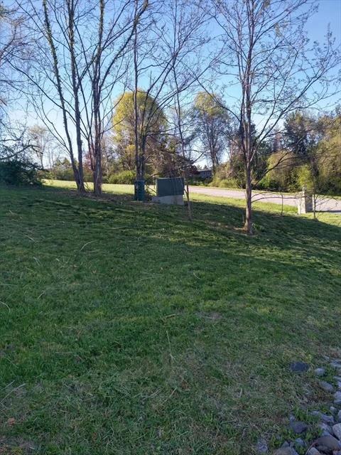 Yard