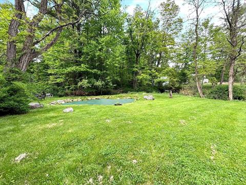 Yard