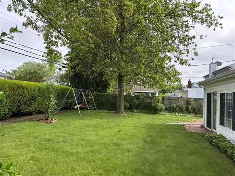 Yard