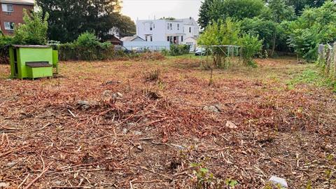 Yard