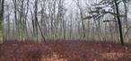 Looking for the privacy and seclusion? You got it. Located on the top of the hills off the road with an access from the private roads. Great for hunting or recreation or building a home. The owner also have a lot 1.15 acres . Can be sold together. looking for more land around. 46 acres just across. Under 2 hours from NYC.