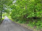 This level lot in the beautiful Mountain Lodge Community of Blooming Grove, NY, offers a unique opportunity to build your dream weekend or full time home. This picturesque piece of land consists of three contiguous tax-lots, but is being sold as one sale. Building is subject to engineering, building permits and approvals, which are the buyers responsibility. Schedule your visit today! This sale includes three tax lots: 28-4-2, 29-3-1, and 29-3-3.