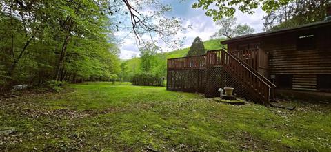 Yard