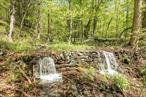 Situated in Hillsdale, this 150-acre wooded parcel offers an excellent development opportunity with potential for panoramic views of the Berkshires, Taconic Range, and/or the Catskill Mountains. Established logging roads and trails meander through the property, revealing historic stone walls, rock outcroppings, seasonal streams, and charming waterfalls. The site is currently enrolled in a forestry program that offers the advantage of reduced property taxes as well as periodic revenue-generating timber harvests. Should the next steward of this land choose to maintain the forestry program, two distinct building envelopes â€” of three or four acres â€” are excluded from the forestry program and provide immediate potential for development. Alternatively, subdivision makes this site a promising prospect for development. Found at the crossroads of the Hudson Valley and Berkshire Mountain regions, this hilltop sanctuary ensures access to a diversity of cultural and recreational attractions.