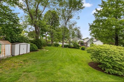 Yard