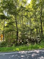 Expansive 23.89 Parcel in Millerton, NY! Prime Location with Endless Potential.Discover a rare opportunity to own 23.89 acres of raw, wooded land nestled in the scenic hills of Millerton, NY. This private and peaceful property offers a true escape with a mix of mature trees, rolling terrain, and the potential for a long-range view from the upper elevations.Perfect for building your dream home, creating a secluded weekend getaway, or simply investing in prime upstate New York land. The location is ideal, just minutes from the charming village centers of Millerton and Amenia, and only 12 minutes to the Wassaic train station for easy access to NYC.Whether you&rsquo;re seeking tranquility, natural beauty, or development potential, this property offers it all. A unique chance to own a significant slice of the Hudson Valley.
