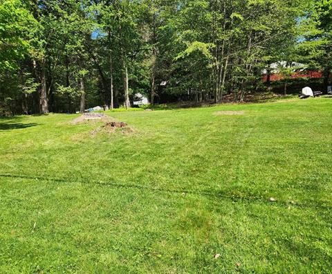 Yard