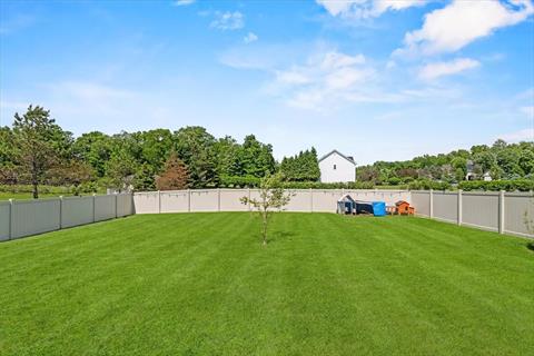 Yard