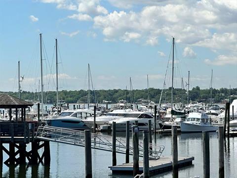 Dock