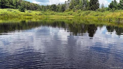 Pond